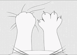 Animated Cat Feet Knead GIF