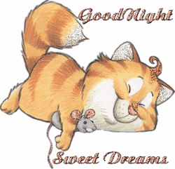 Animated Cat Good Night Sweet Dreams GIF