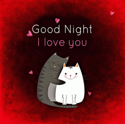 Animated Cat Hugging Good Night Love You GIF