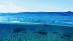 Animated Clear Water Sea Waves
