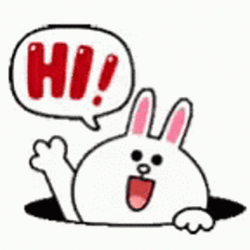Animated Cony Sticker Waving Hi GIF