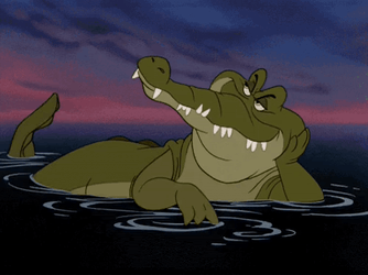 Animated Cool Crocodile Meme  GIF