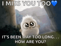 Animated Cute Baby Owl Miss You Too GIF 