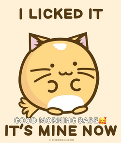 Animated Cute Cat Licking I Licked It  GIF