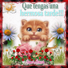 Animated Cute Cat Peeking Out Buenas Tardes GIF