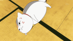 Animated Cute Cat Rolling GIF