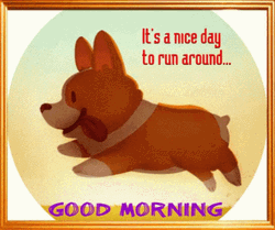 Animated Cute Corgi Running Good Morning Puppy GIF