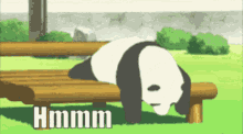 Animated Cute Panda Falls Bench Mmmm GIF
