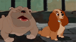 Animated Dog Lady And The Tramp GIF