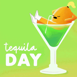 Animated Don Julio Tequila Day GIF