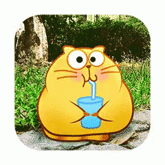 Animated Egg Yolk Cat Drinking Water