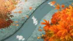 Animated Fall Leaves In Stream