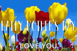 Animated Flowers Happy Mothers Day Love You GIF