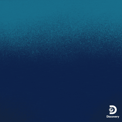 Animated Goblin Shark Saying Hey GIF