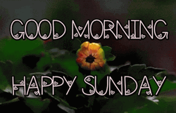 Animated Good Morning Happy Sunday Artwork GIF