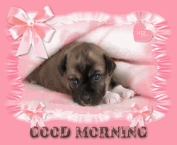 Animated Good Morning Puppy Greeting Card GIF