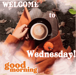 Animated Good Morning Wednesday Autumn Outfit GIF