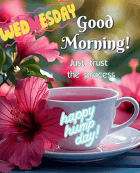 Animated Good Morning Wednesday Cup Of Pink Tea GIF