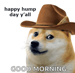 Animated Good Morning Wednesday Doge With Cowboy Hat GIF