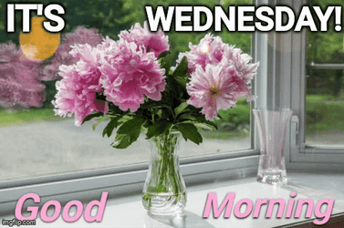Animated Good Morning Wednesday Flowers In Vase GIF