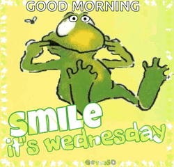 Animated Good Morning Wednesday Frog Forcing To Smile GIF