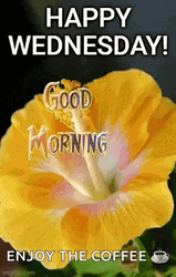 Animated Good Morning Wednesday Yellow Flower GIF