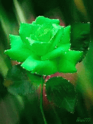 Animated Green Floral Rose GIF