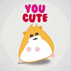 Animated Hamster Dance You Cute GIF