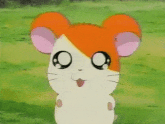 Animated Hamtaro Ahem GIF
