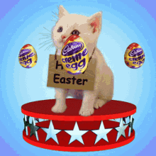 Animated Happy Easter Cat With Spinning Eggs