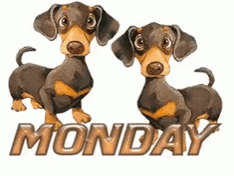 Animated Happy Monday Dachshund Wagging Tale GIF
