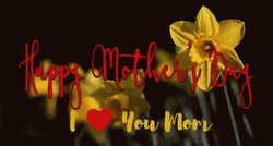 Animated Happy Mothers Day I Love You More GIF