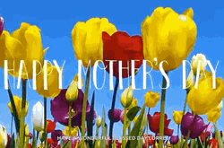Animated Happy Mothers Day Lorre GIF