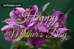Animated Happy Mothers Day Purple Flower GIF