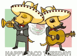 Animated Happy Taco Tuesday Cowboys GIF