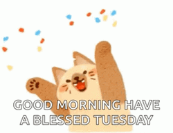 Animated Happy Tuesday Confetti Bear