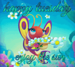 Animated Happy Tuesday Enjoy The Sun GIF