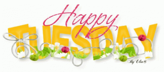 Animated Happy Tuesday Guys GIF