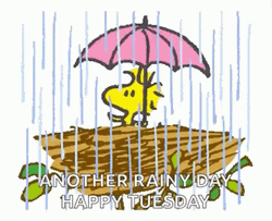 Animated Happy Tuesday Rain Woodstock GIF 