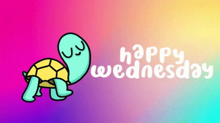 Animated Happy Wednesday Frog GIF