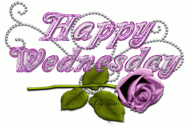 Animated Happy Wednesday Purple Rose GIF