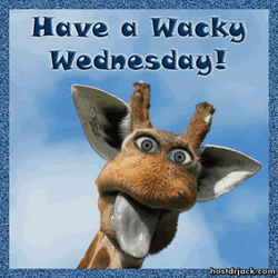 Animated Have A Wacky Hilarious Wednesday GIF