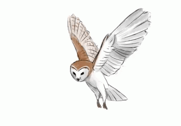 Animated Hedwig Flying GIF