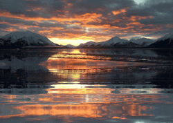 Animated Image Aesthetic Sunset Water GIF