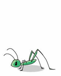 Animated Insect Grasshopper