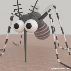 Animated Insect Mosquito