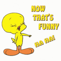 Animated Laughing Tweety Bird That's Funny GIF