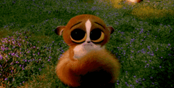 Animated Madagascar Baby Lemur Hug GIF