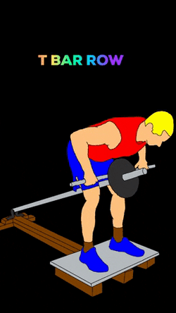 Animated Man Lifting T Bar Row GIF