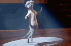 Animated Meerkat Happy Dance GIF